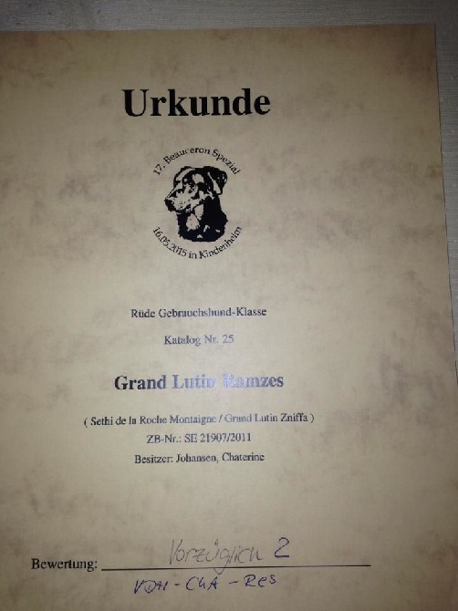 Grand Lutin - NE Allemagne 2015