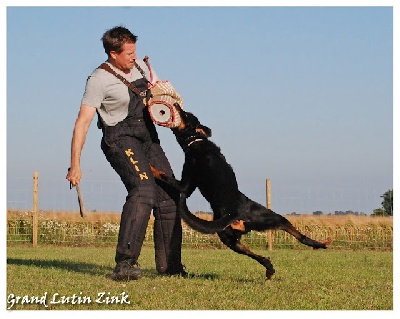 Grand Lutin - Resultat Travail