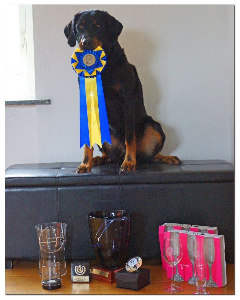 Grand Lutin - Club Champions!